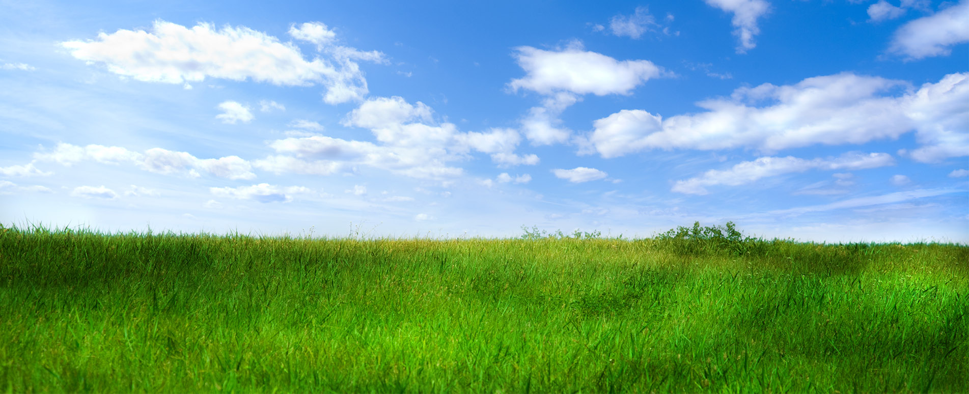 Banner - Philipp Müller